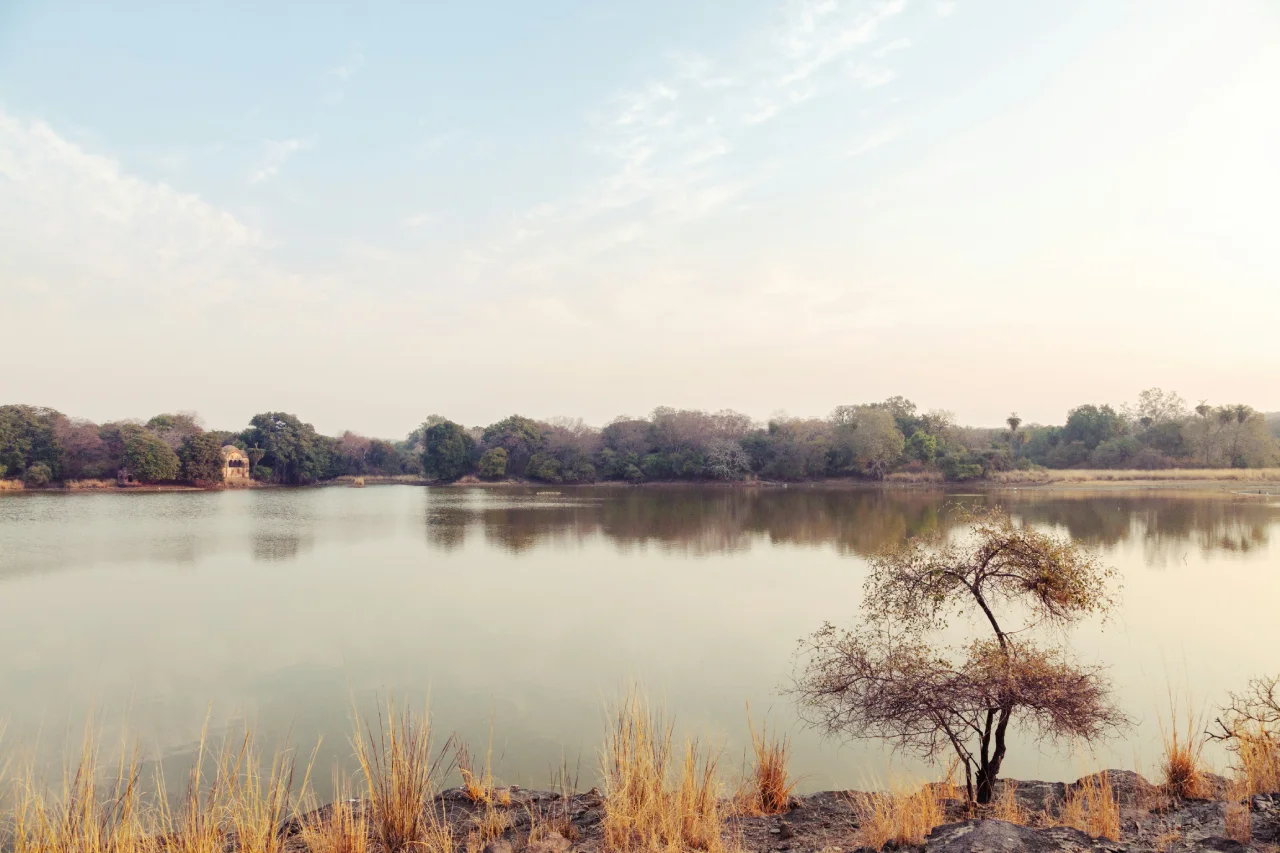 Best Time to Visit Ranthambore National Park for Wildlife Enthusiasts