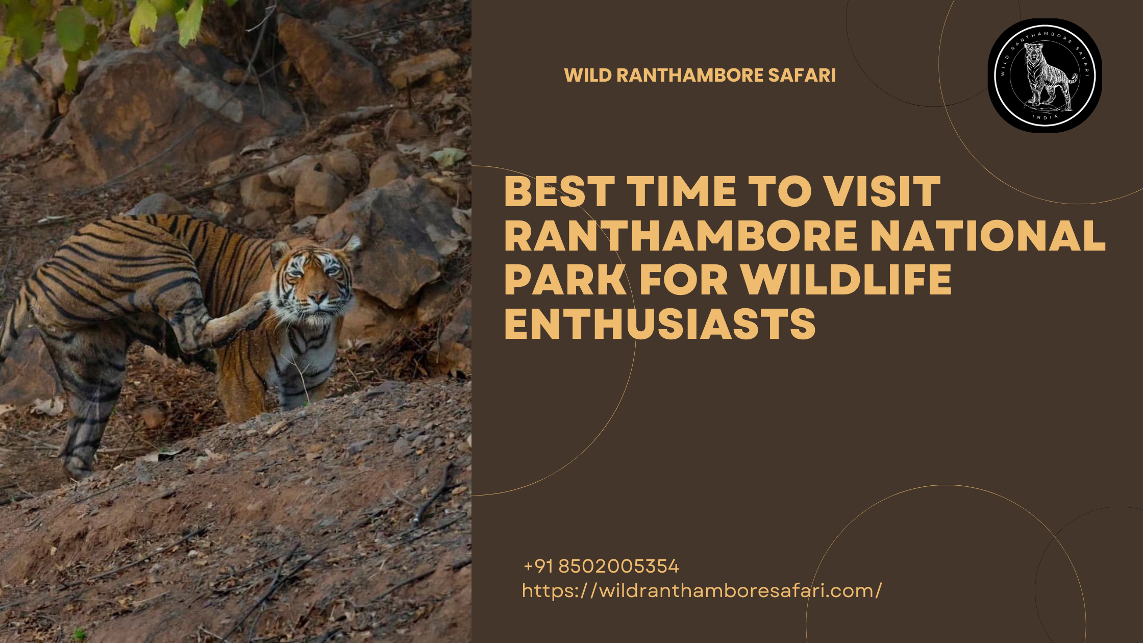 Best Time to Visit Ranthambore National Park for Wildlife Enthusiasts