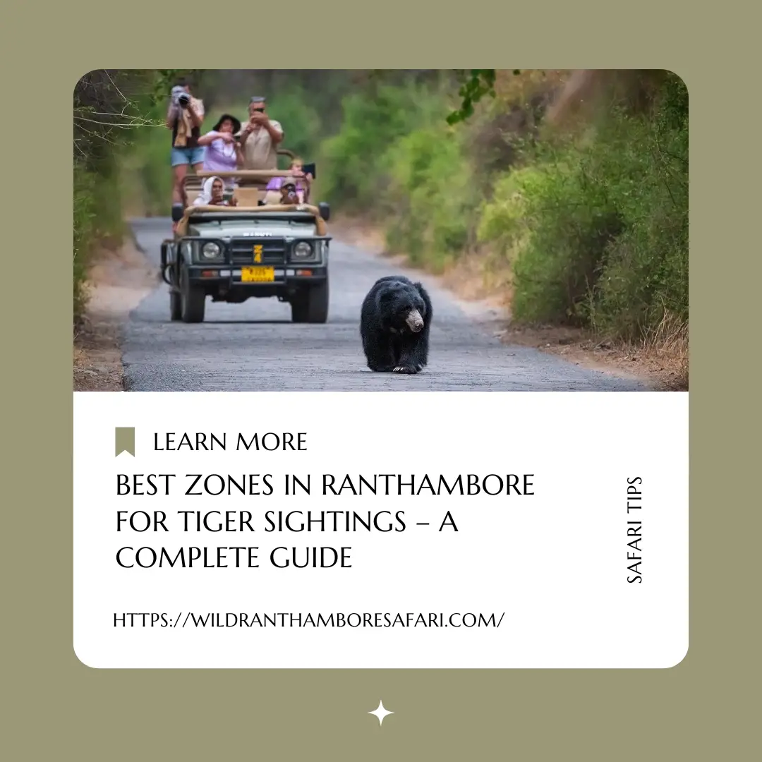 Best Zones in Ranthambore for Tiger Sightings – Updated Guide